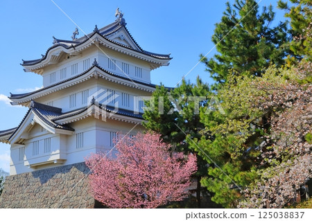 Oshijo, Saitama Prefecture ~A castle tower decorated with cherry blossoms in full bloom~ Oshijo, Saitama Prefecture ~A castle tower decorated with cherry blossoms in full bloom~ 125038837
