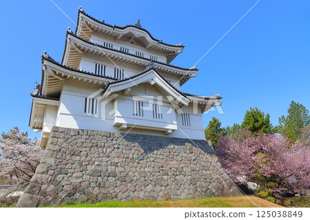Oshijo, Saitama Prefecture ~A castle tower decorated with cherry blossoms in full bloom~ Oshijo, Saitama Prefecture ~A castle tower decorated with cherry blossoms in full bloom~ 125038849