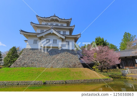 Oshijo, Saitama Prefecture ~A castle tower decorated with cherry blossoms in full bloom~ 125038863
