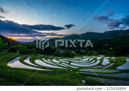 Rice terraces at dawn: Oyama Senmaida, Chiba Prefecture Rice terraces at dawn: Oyama Senmaida, Chiba Prefecture 125038869