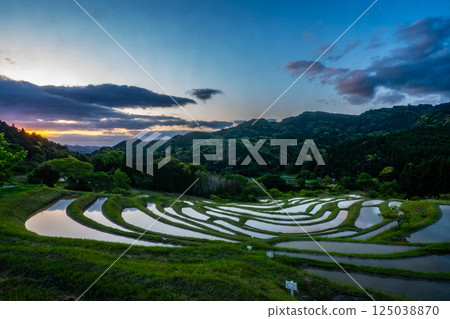 黎明時的梯田:千葉縣大山千枚田 黎明時的梯田:千葉縣大山千枚田 125038870