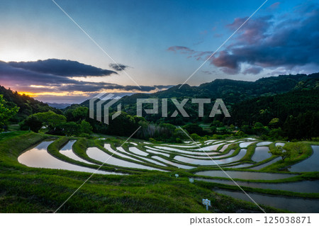 Rice terraces at dawn: Oyama Senmaida, Chiba Prefecture Rice terraces at dawn: Oyama Senmaida, Chiba Prefecture 125038871