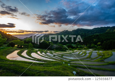 黎明時的梯田：千葉縣大山千枚田 125038877