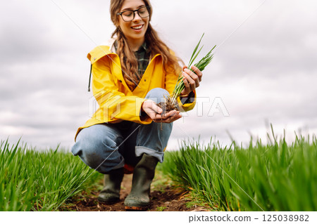 Farmer woman holding green wheat sprouts, checking growth. Scientist is checking the plant. 125038982
