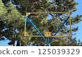Rusty yellow and blue metal basketball hoop stands in front of pine trees  125039329