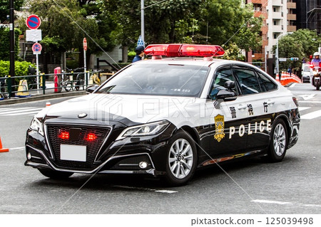 Metropolitan Police Car Crown 125039498