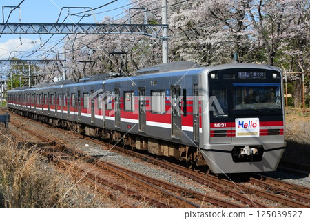 HELLOW Keisei Matsudo Line Headmark Sticker Included N800 Series Revival Colors and Cherry Blossoms 125039527