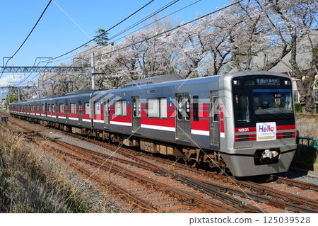 HELLOW Keisei Matsudo Line Headmark Sticker Included N800 Series Revival Colors and Cherry Blossoms 125039528