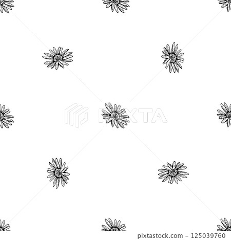 Seamless pattern with hand drawn wildflower heads in black and white. Ideal for fabric, packaging, tea, natural cosmetics, wedding design, herbal products, or eco-friendly branding. 125039760