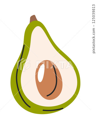 Hand drawn halved avocado fruit 125039813