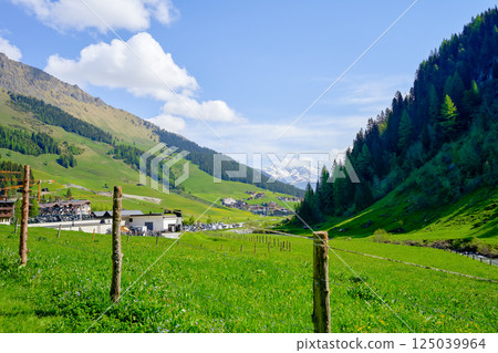 A green alpine valley with Austrian houses and cows, hinter tux. High quality photo 125039964