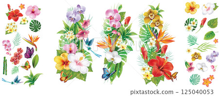 Tropical Flowers and Leaves Set Tropical Flowers and Leaves Set 125040053