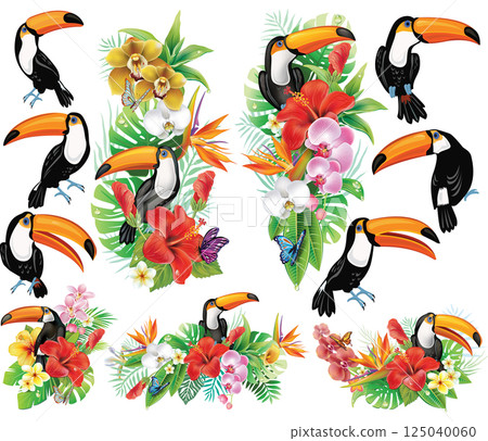 Tropical Toucan Set with Exotic Flowers Tropical Toucan Set with Exotic Flowers 125040060