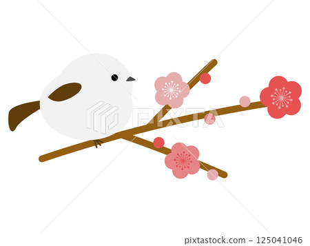 Shimaenaga and plum blossoms Shimaenaga and plum blossoms 125041046