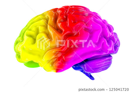 Colourful Human Brain, 3D rendering 125041720