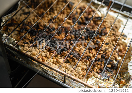 Fish grilled dirt 125041911