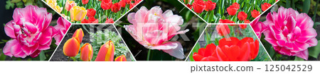 Red tulip flowers on the background of the spring garden. Collage. Mosaic pattern. Red tulip flowers on the background of the spring garden. Collage. Mosaic pattern. 125042529