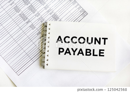 ACCOUNT PAYABLE text on notebook with chart ACCOUNT PAYABLE text on notebook with chart 125042568