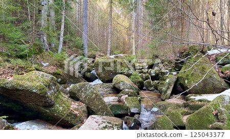 A Serene Stream Gently Flowing Through Lush Mossy Rocks Nestled in a Picturesque Forest 125043377