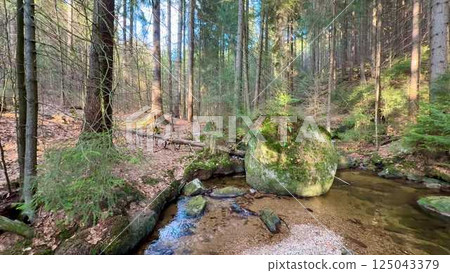 A Serene Forest Stream gently flowing with Boulders surrounded by a Lush Green Landscape 125043379
