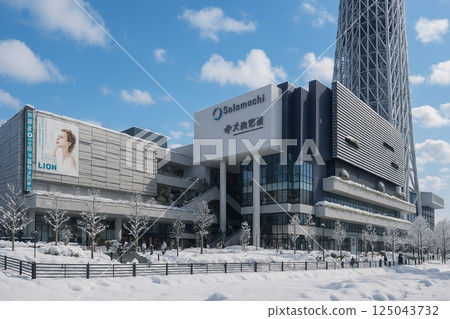 東京晴空塔雪景 東京晴空塔雪景 125043732