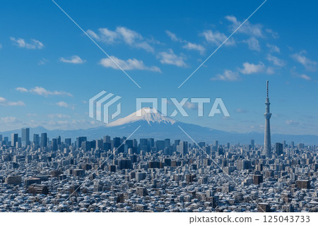 雪中的富士山和東京晴空塔 雪中的富士山和東京晴空塔 125043733