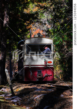 Autumn in Agematsu, Nagano Prefecture: Akazawa Natural Recreation Forest with Autumn Foliage, Akazawa Forest Railway 125044056
