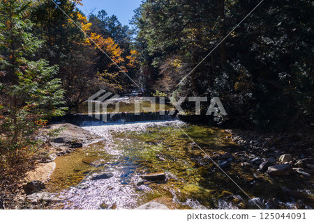 Autumn in Agematsu, Nagano Prefecture: Autumn foliage at Akazawa Natural Recreation Forest 125044091