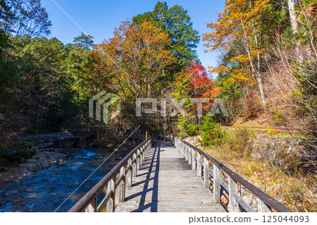 Autumn in Agematsu, Nagano Prefecture: Autumn foliage at Akazawa Natural Recreation Forest 125044093