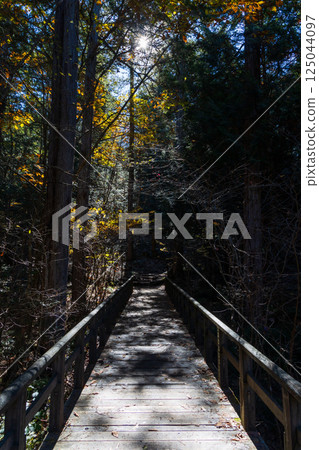 Autumn in Agematsu, Nagano Prefecture: Autumn foliage at Akazawa Natural Recreation Forest 125044097