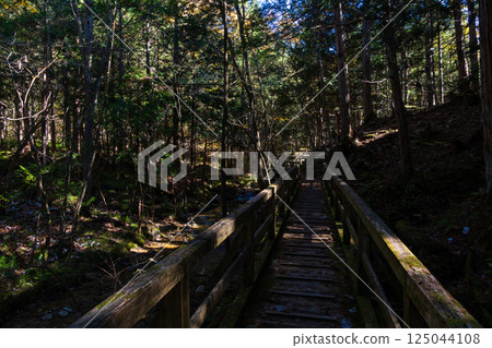 Autumn in Agematsu, Nagano Prefecture: Autumn foliage at Akazawa Natural Recreation Forest 125044108