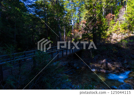 Autumn in Agematsu, Nagano Prefecture: Autumn foliage at Akazawa Natural Recreation Forest 125044115