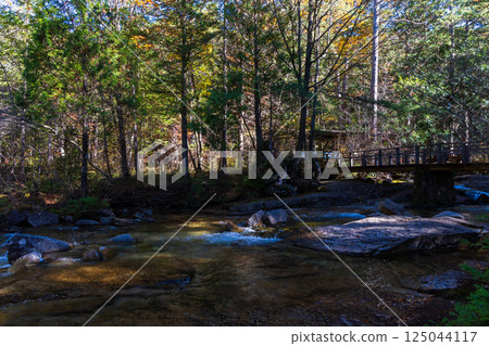 Autumn in Agematsu, Nagano Prefecture: Autumn foliage at Akazawa Natural Recreation Forest 125044117