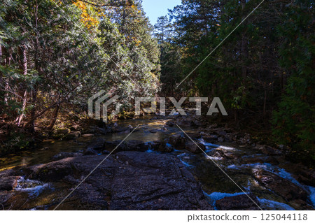 Autumn in Agematsu, Nagano Prefecture: Autumn foliage at Akazawa Natural Recreation Forest 125044118