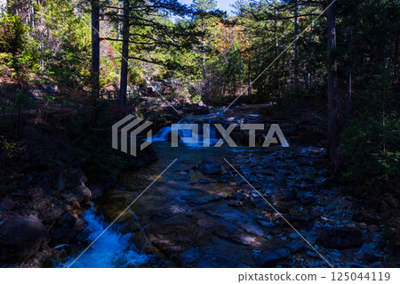 Autumn in Agematsu, Nagano Prefecture: Autumn foliage at Akazawa Natural Recreation Forest Autumn in Agematsu, Nagano Prefecture: Autumn foliage at Akazawa Natural Recreation Forest 125044119