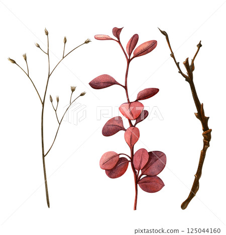 Autumn branches. Watercolor hand-painted set of different types of twigs. Perfect for botanical designs and natural themes, floral fabric, fall card, seasonal postcard, harvest, thanksgiving day decor Autumn branches. Watercolor hand-painted set of different types of twigs. Perfect for botanical designs and natural themes, floral fabric, fall card, seasonal postcard, harvest, thanksgiving day decor 125044160
