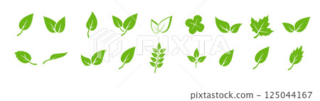 Green leaf icons set. Elements design for natural, eco, vegan. Leaves icon on isolated background. Collection green leaf. Vector 125044167