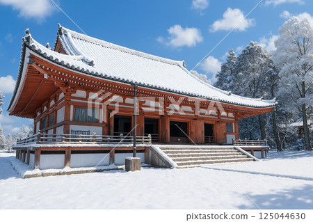 醍醐寺金堂雪景 醍醐寺金堂雪景 125044630