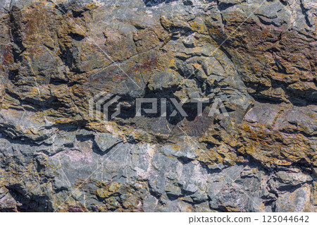 Cracked metamorphic rock, rough texture, natural surface, outdoor, daylight 125044642