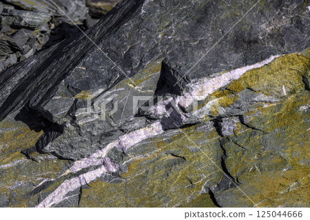 Vein of White Mineral in Dark Sedimentary Rock Vein of White Mineral in Dark Sedimentary Rock 125044666