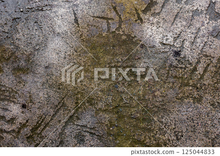 Concrete driveway or walkway surface with tool marks from ice removal and green moss or algae growth 125044833