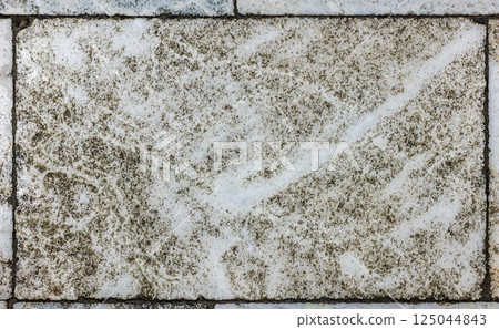 Off-White Marble Floor Tile with Grey and Brown Mottling 125044843