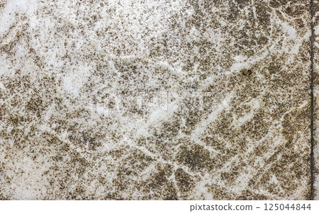 Worn Grey and White Mottled Marble Floor Tiles in Old Building Worn Grey and White Mottled Marble Floor Tiles in Old Building 125044844