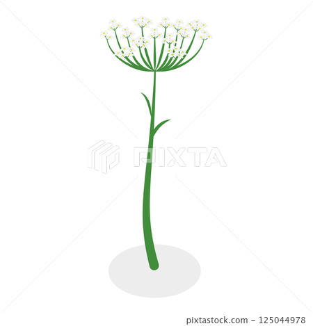3D Isometric Flat Vector Illustration of Flowers Collection, Set of Various Blooming Plants. Item 13 125044978