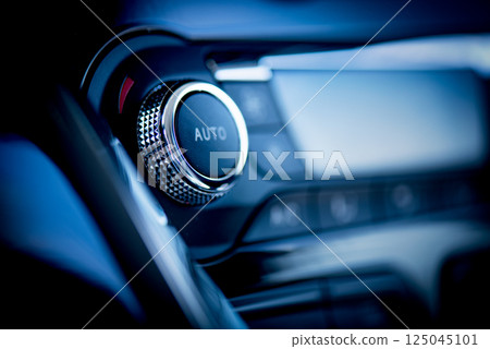 Temperature knob, air condition in car 125045101