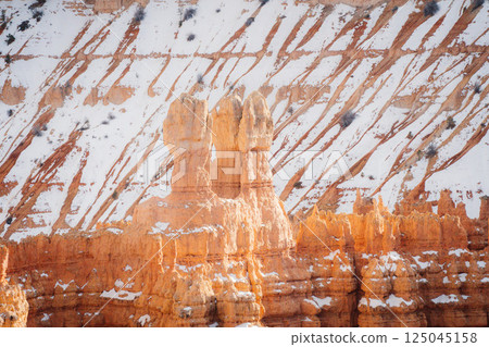 america, american, usa 125045158