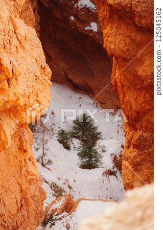 america, american, usa 125045162