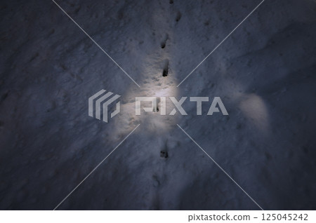 Animal footprints illuminated by sunlight filtering through the trees [Nagano Prefecture] 125045242