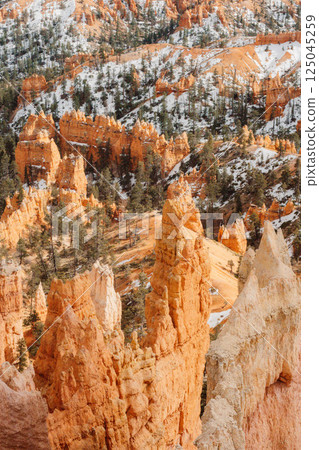 america, american, usa 125045259