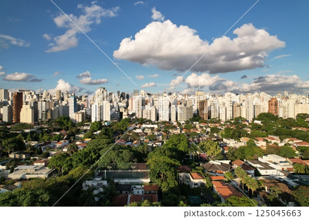City skyline of Sao Paulo with green areas and cloud patterns 125045663